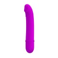 Kleiner Vibrator für Paare anal G-Punkt Dildo Silikon Vibrator