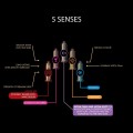 SKYN Selection Latexfreie Kondome 3 x 9 Stk.+ GRATIS Skyn 5 Senses