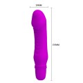 Mini Vibrator für Frauen mit G Punkt und Klitoris Stimulation Anal