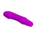 Mini Vibrator für Frauen mit G Punkt und Klitoris Stimulation Anal
