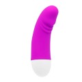 Mini Vibrator für Frauen mit G Punkt und Klitoris Stimulation Anal