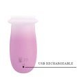 Pretty Love Susie Schiebender Vibrator