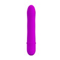 Kleiner Vibrator für Paare anal G-Punkt Dildo Silikon Vibrator